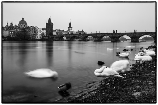 20171108-_7D29705.jpg
